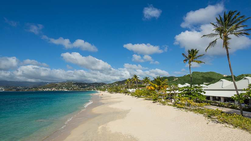 Deep blue turquoise waters, white sand, and palm trees at Grand Anse Beach in Grenada, West Indies.