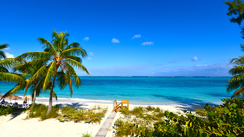 Vivid blue turquoise waters and palm trees on white-sand Grace Bay beach in Providenciales, Turks and Caicos.