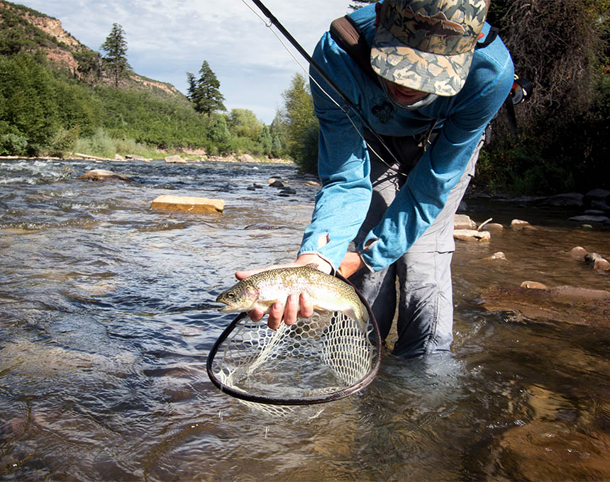 Year-Round Fly Fishing on Telluride's Four Rivers