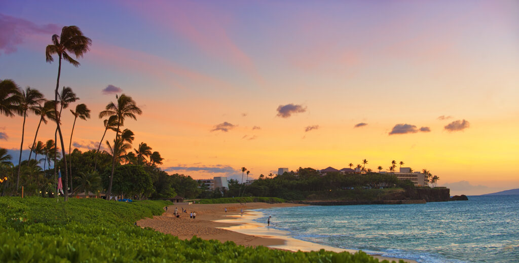 A beach in Wailea with a colorful sky during a sunset with palm trees silhouettes. 