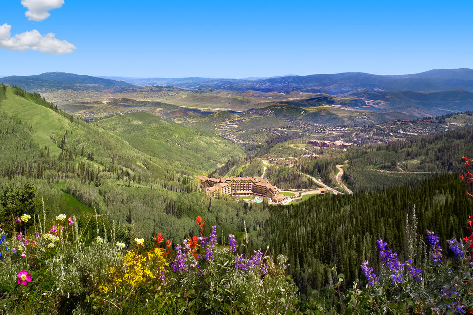 Montage Deer Valley luxury hotel as seen in the mountainous valley with wildflowers