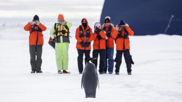 Inspirato members in Antartica photographing a lone penguin on the ice. 