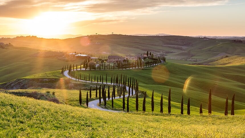 Tuscany vista with cypress trees lining a windy road that leads up to a housing compound. 